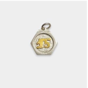 Dije 15 anos de Plata 925 y Oro